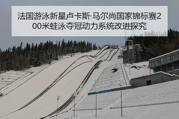 法国游泳新星卢卡斯·马尔尚国家锦标赛200米蛙泳夺冠动力系统改进探究